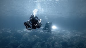 LiquidPlanet Dive Center Puerto Calero (Hotel Secrets) place picture