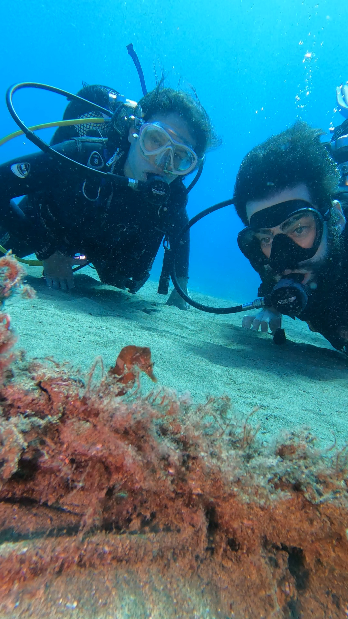 Bautizo de buceo en Lanzarote - Liquid Planet