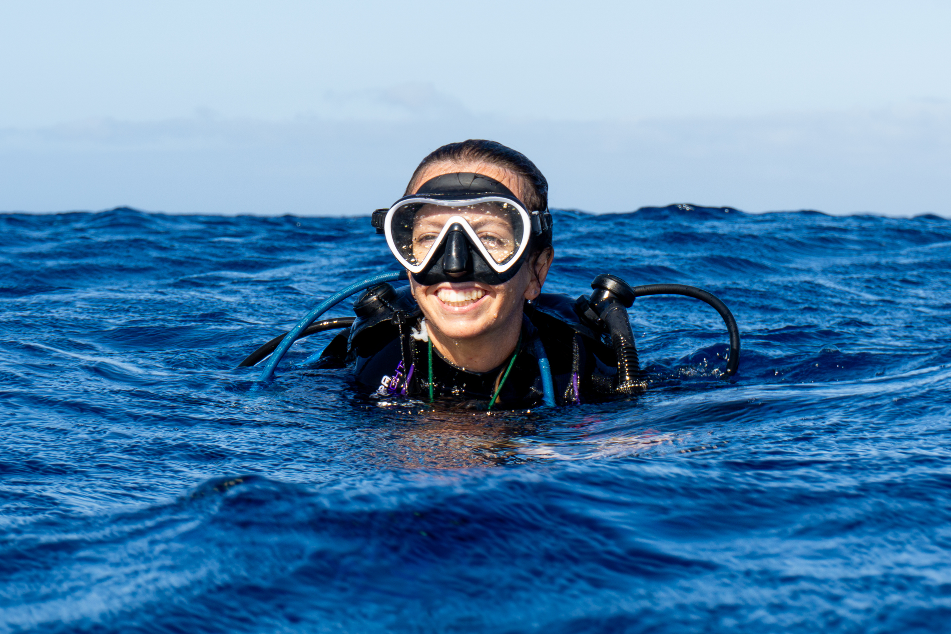Open Water Diver